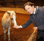 Gandalf lässt sich mit einem Stück Zucker gerne vom neuen Patenonkel verwöhnen; Foto bei Quellenangabe honorarfrei