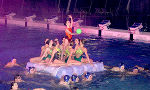Die jungen Schwimmerinnen und Schwimmer boten den Gästen eine eindrucksvolle Wassershow.