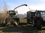 Die heimische Landwirtschaft wird vom neuen Lehrgang "Biomasse und erneuerbare Energien" profitieren.