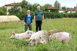 Aufwind-Gärtnerin Katrin Kapfenberger und Johannes Schantl von der landwirtschaftlichen Fachschule mit den Schweinen, die seit gestern bei Aufwind umgraben.