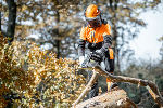 Das Land Steiermark fördert die Anschaffung von Schutzausrüstung für Waldbesitzer. © Foto: Land Steiermark/GettyImages/RossHelen; bei Quellenangabe honorarfrei